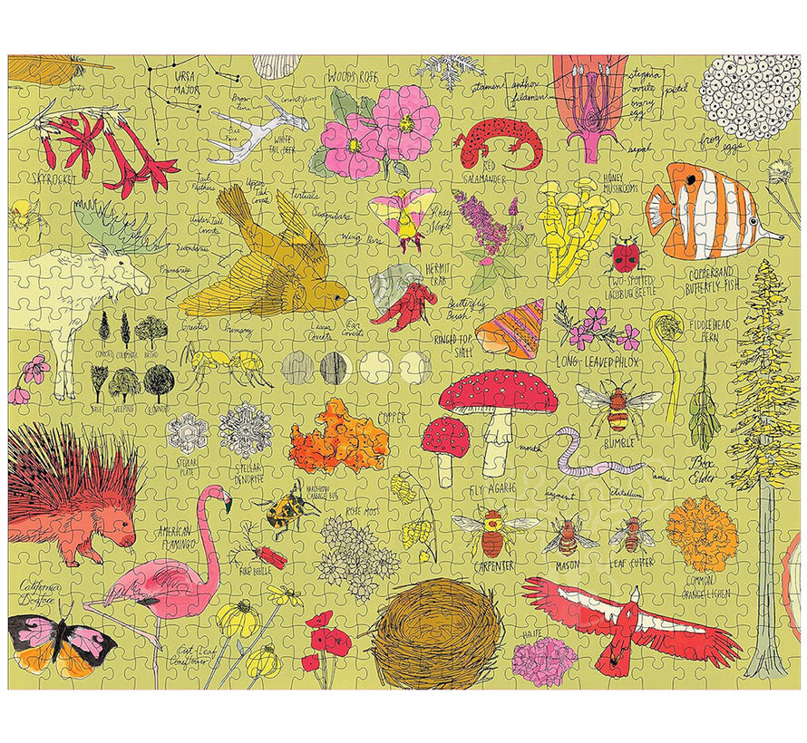 FINAL SALE Storey Nature Anatomy Puzzle 500pcs