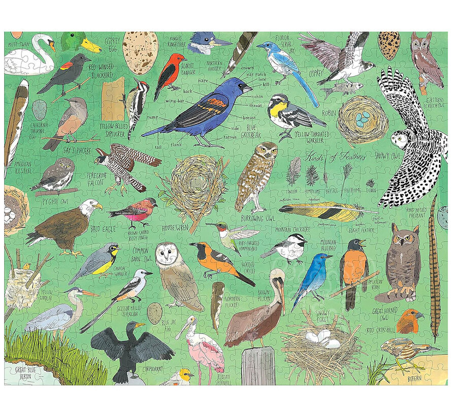 Storey Nature Anatomy: Birds Puzzle 500pcs