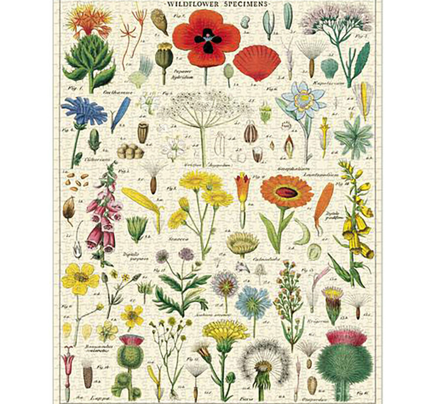 Cavallini Vintage: Wildflowers Puzzle 1000pcs