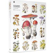 Pomegranate Pomegranate Viazmensky, Alexander: Mushrooms Puzzle 1000pcs