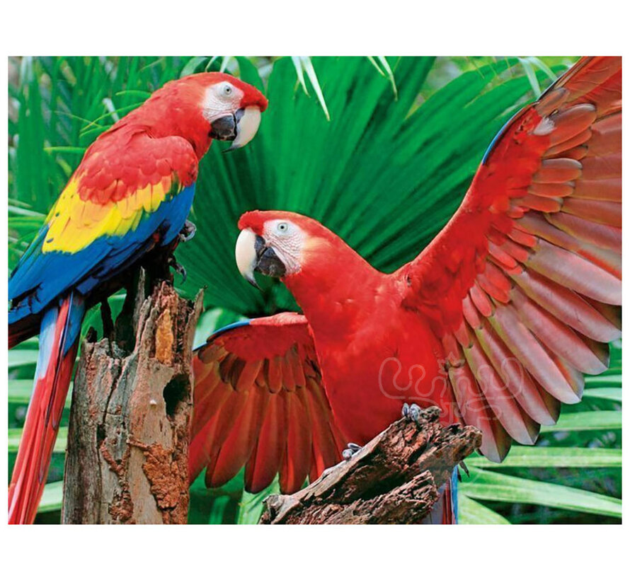 Springbok Scarlet Macaw Family Puzzle 400pcs
