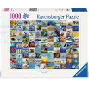 Ravensburger Ravensburger 99 Seaside Moments Puzzle 1000pcs