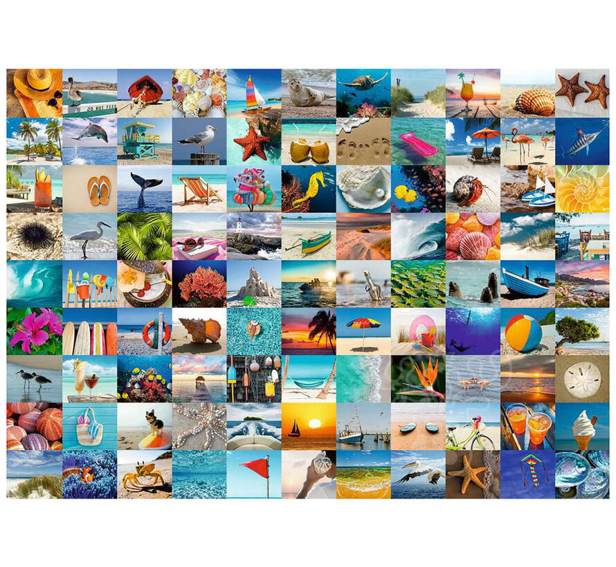 Ravensburger 99 Seaside Moments Puzzle 1000pcs