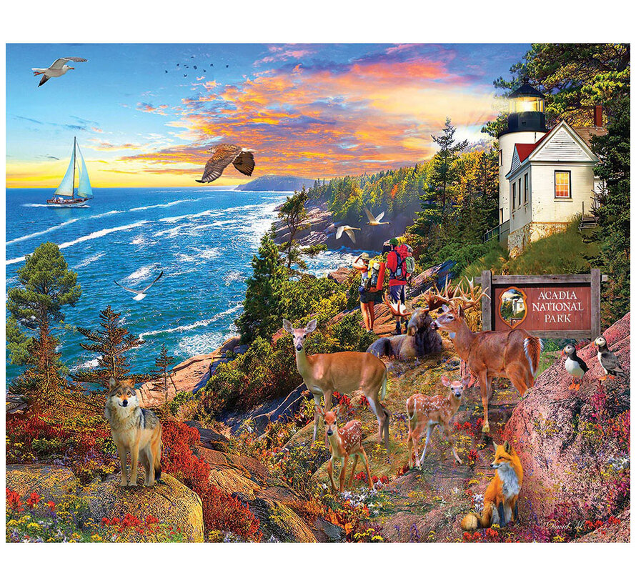White Mountain Arcadia National Park Puzzle 1000pcs