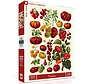 New York Puzzle Co. Vintage Collection: Tomatoes Puzzle 500pcs