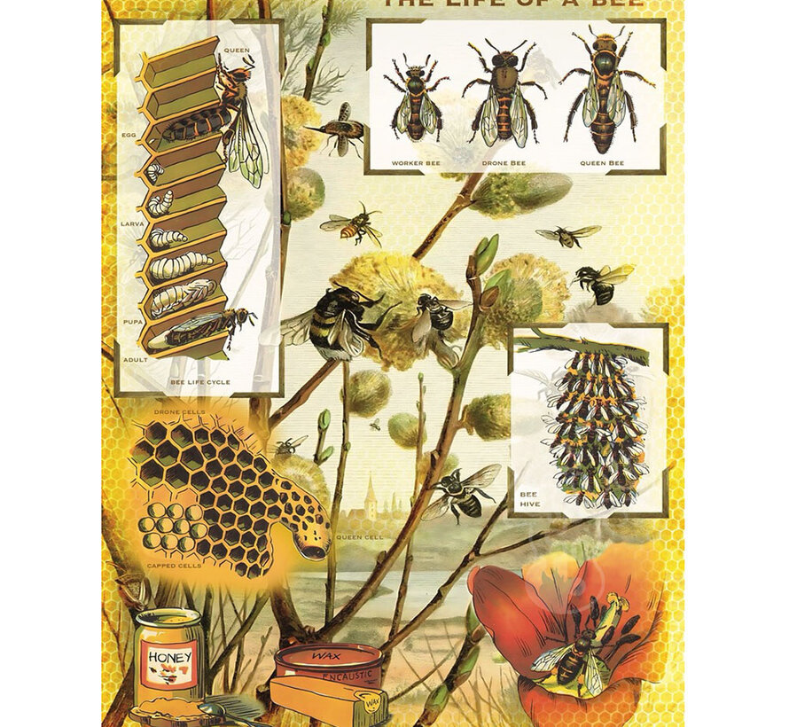 FINAL SALE New York Puzzle Co. Vintage Collection: Bees & Honey Puzzle 1000pcs