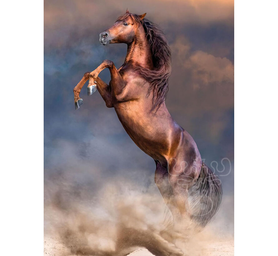 Clementoni Wild Red Stallion Puzzle 500pcs - ORIGINAL BOX SIZE