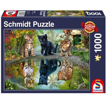 Schmidt Schmidt Dream Big! Puzzle 1000pcs