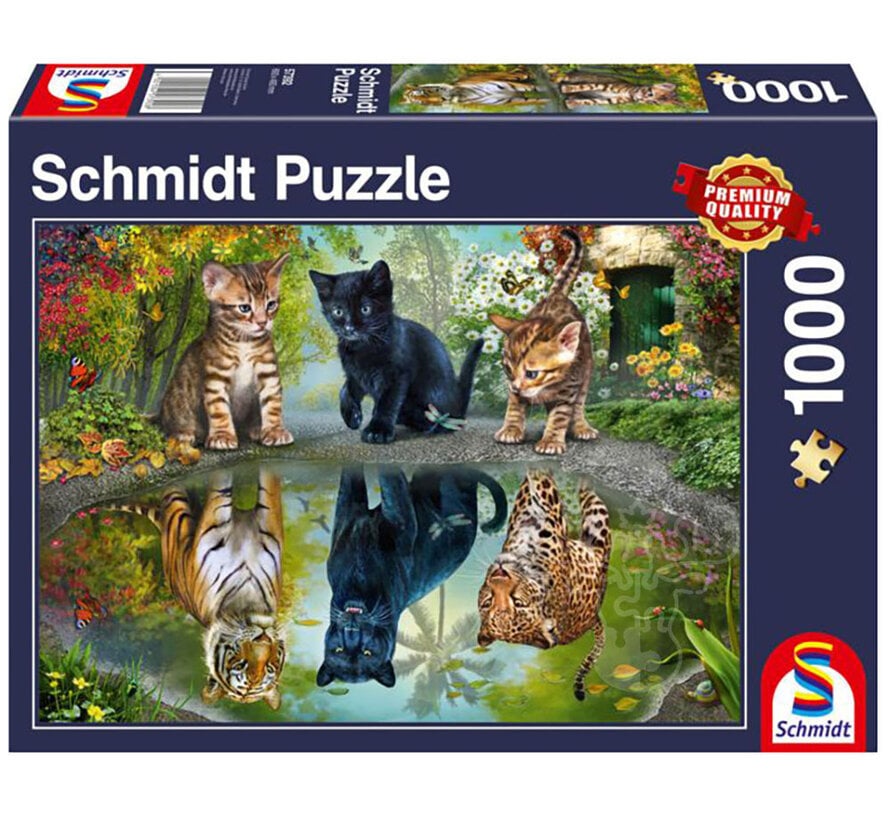 Schmidt Dream Big! Puzzle 1000pcs