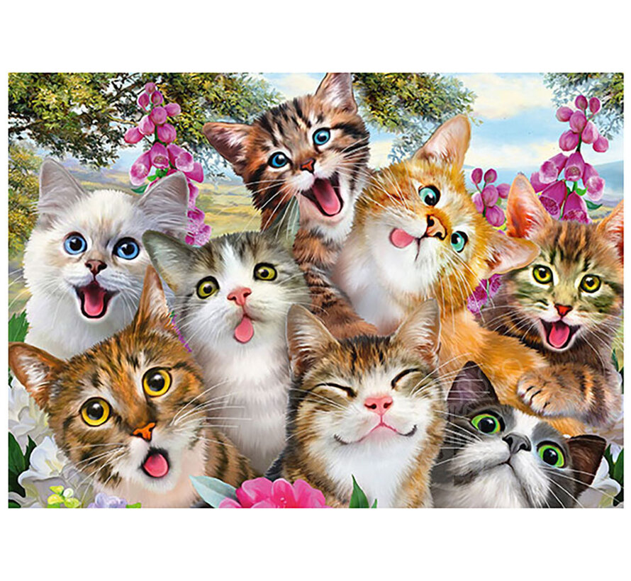 Schmidt Cat Selfie Puzzle 500pcs