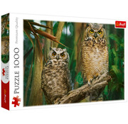 Trefl Trefl Snowy Owls Puzzle 1000pcs