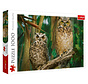Trefl Snowy Owls Puzzle 1000pcs