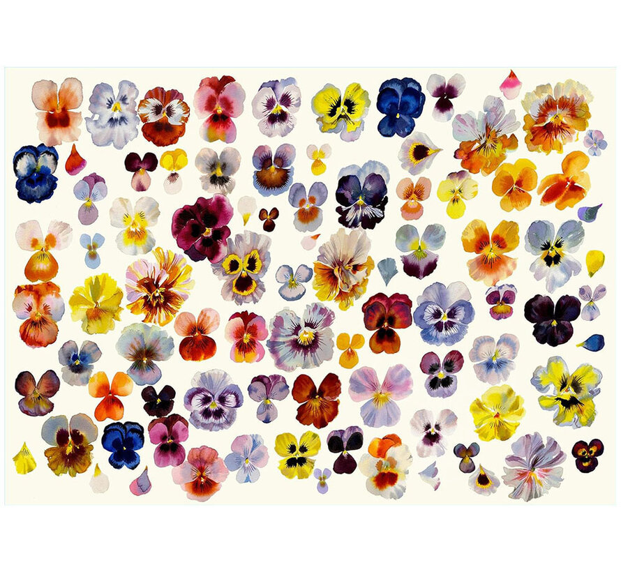 FINAL SALE Artisan Field Of Pansies Puzzle 1000pcs