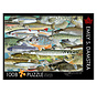 The Occurrence Fishes Of The Great Lakes Puzzle 1008pcs