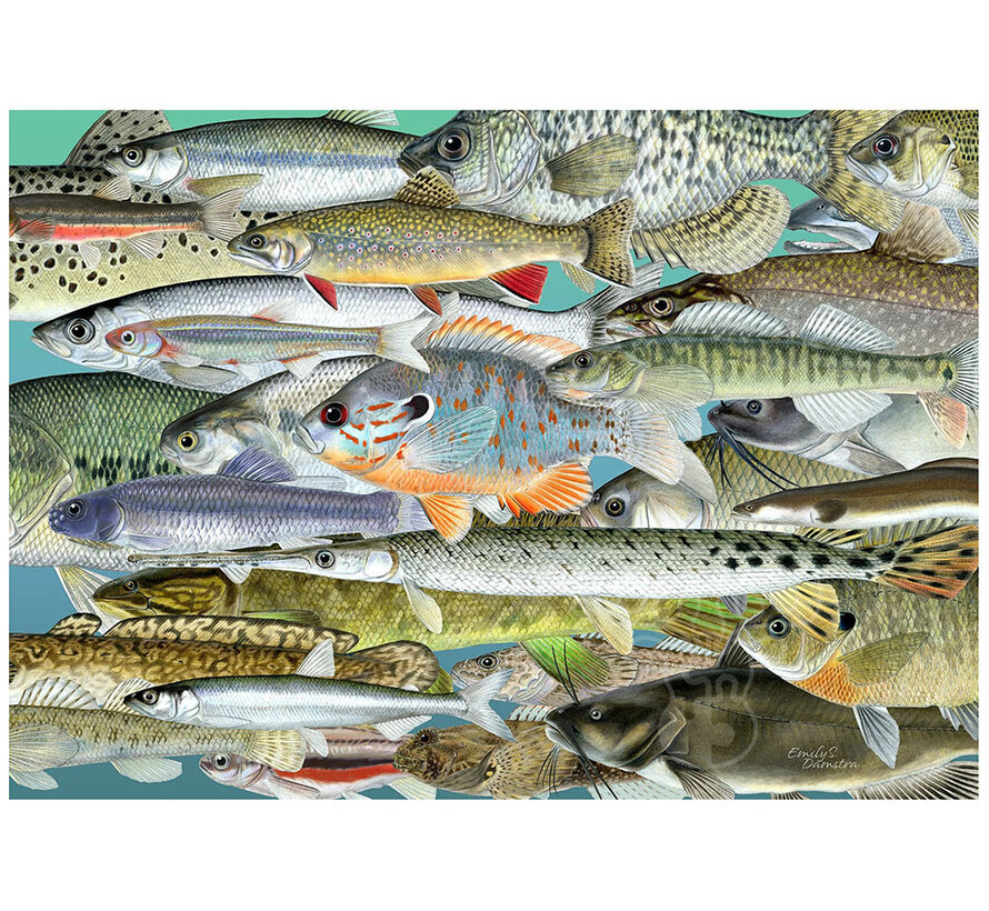 The Occurrence Fishes Of The Great Lakes Puzzle 1008pcs