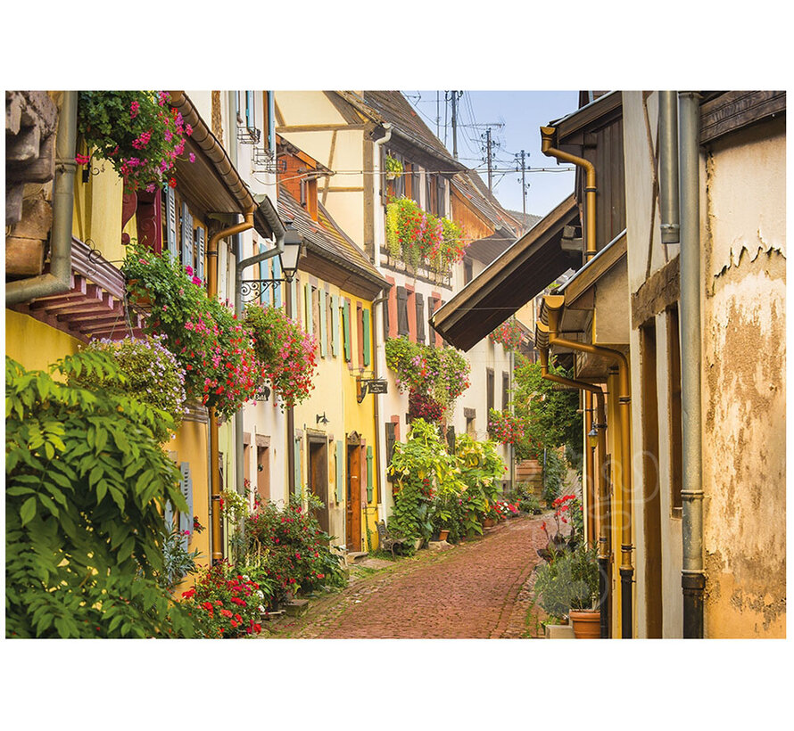 Pierre Belvedere Dupuis: A Walk in Alsace Puzzle 1000pcs