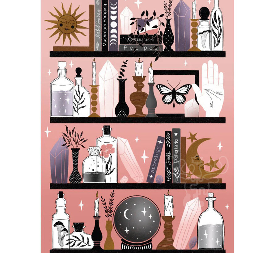 Villager Mystic Bookshelf Puzzle 500pcs