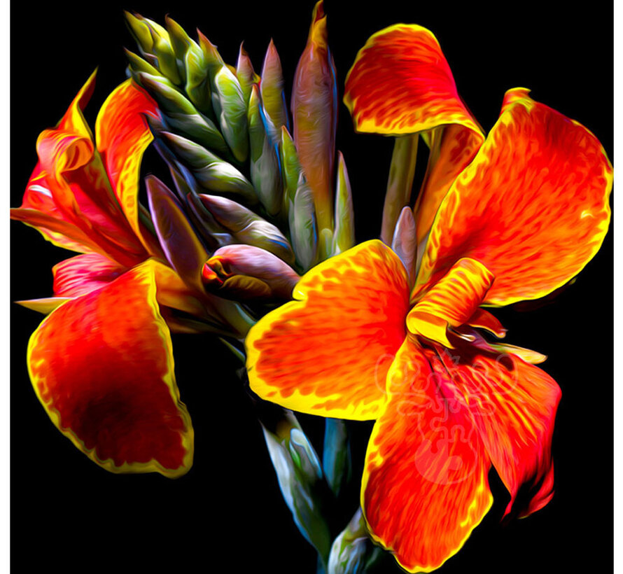 FINAL SALE Springbok Maderna Canna Lily Puzzle 500pcs