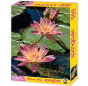 Springbok Springbok Water Lilies Puzzle 500pcs