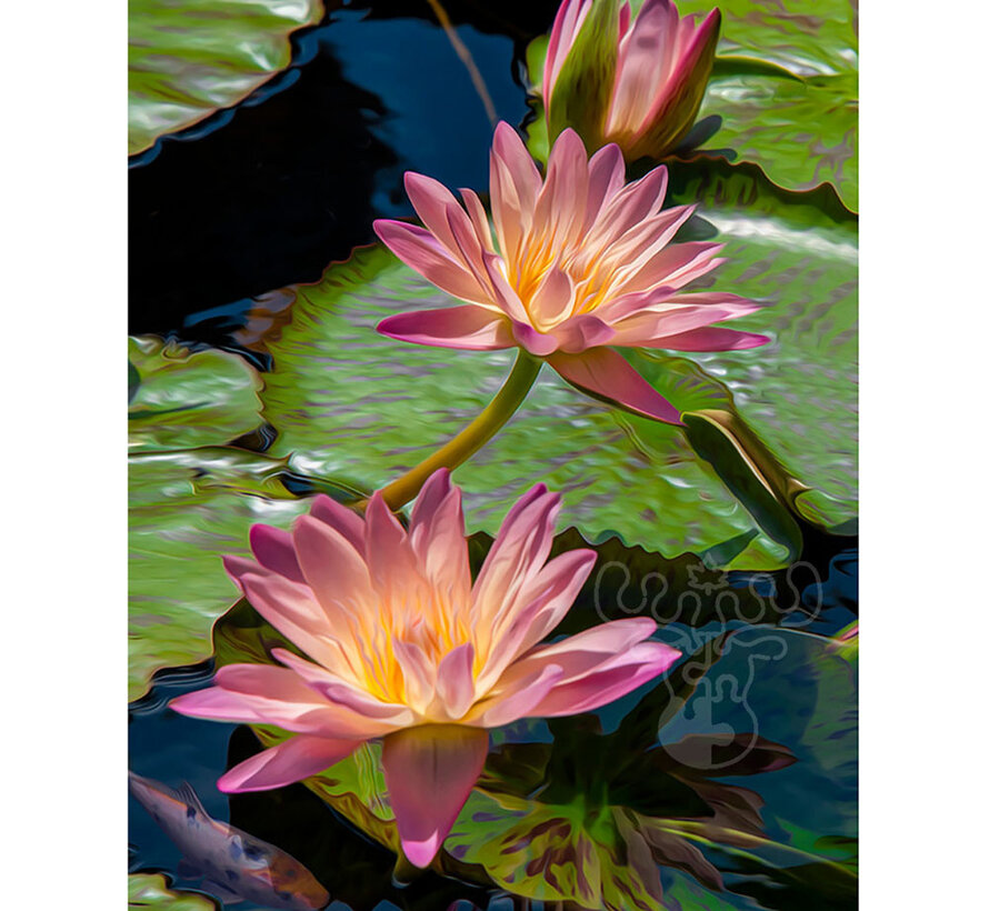 Springbok Water Lilies Puzzle 500pcs