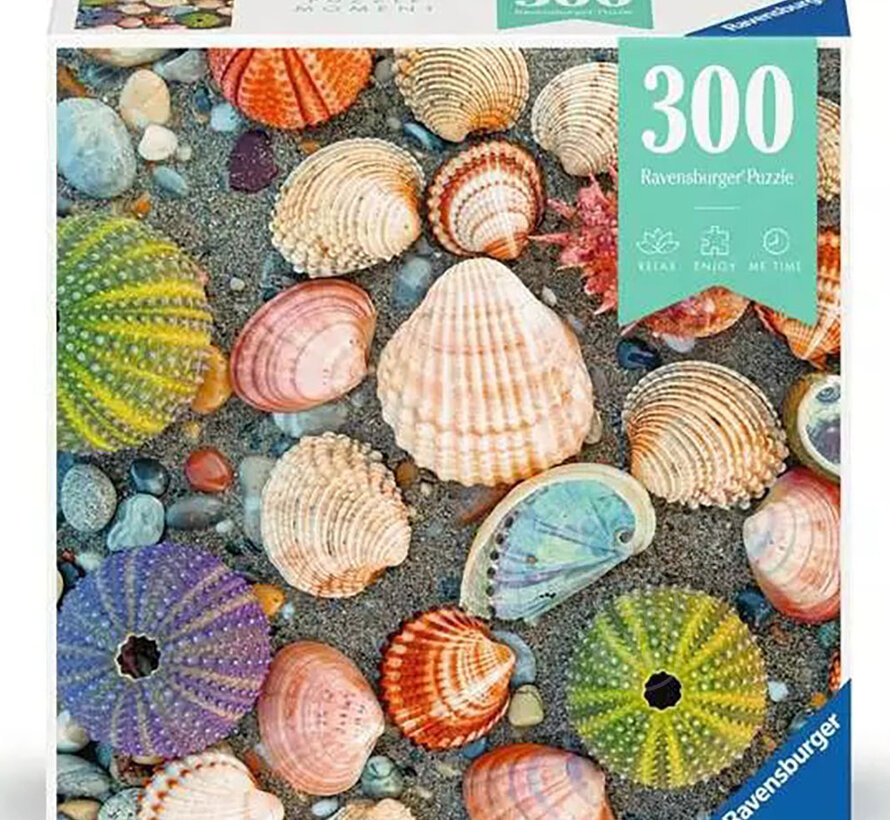 Ravensburger Puzzle Moment By the Seashore Puzzle 300pcs