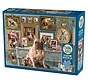 Cobble Hill Frenchie Puzzle 500pcs