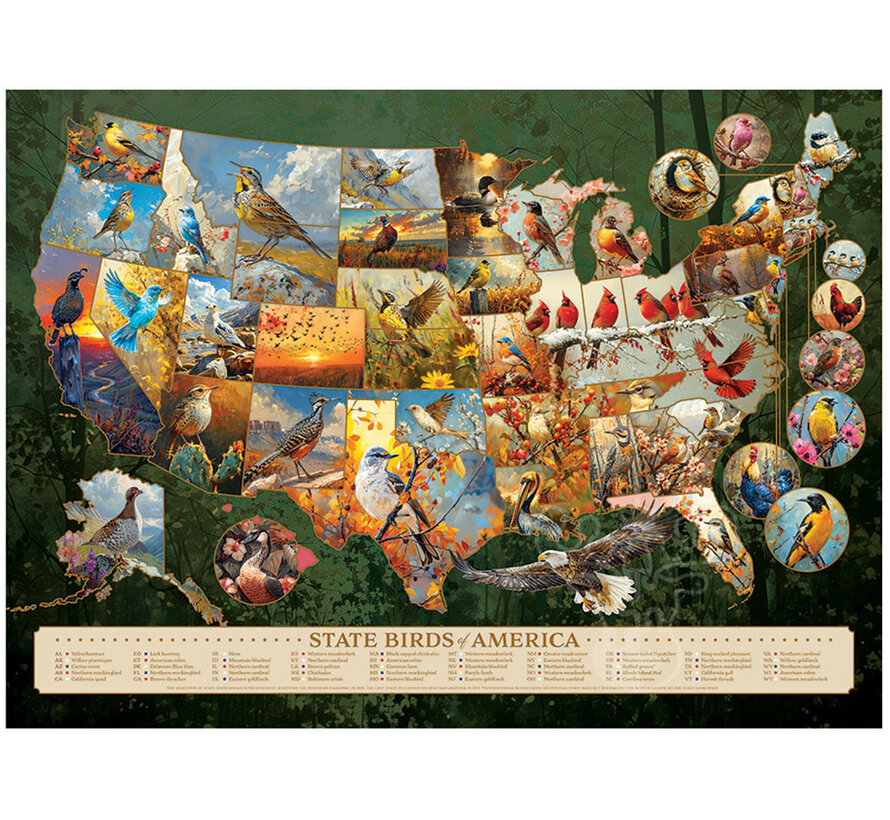Cobble Hill State Birds of America Puzzle 1000pcs