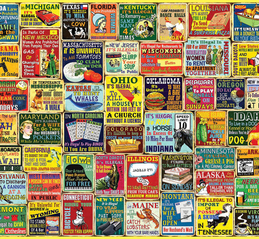 White Mountain Crazy State Laws Puzzle 1000pcs
