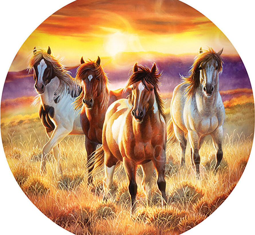 SunsOut Running in the sun Puzzle 500pcs