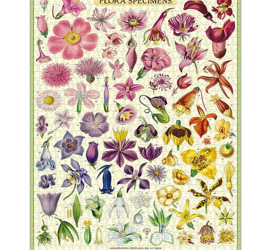 Cavallini Vintage: Flora Specimens Puzzle 1000pcs