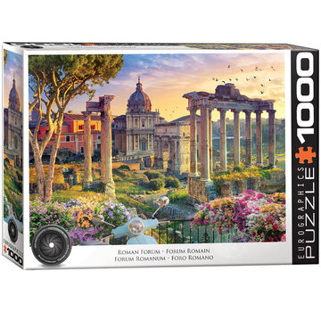 Eurographics Eurographics Photography HDR: Roman Forum Puzzle 1000pcs