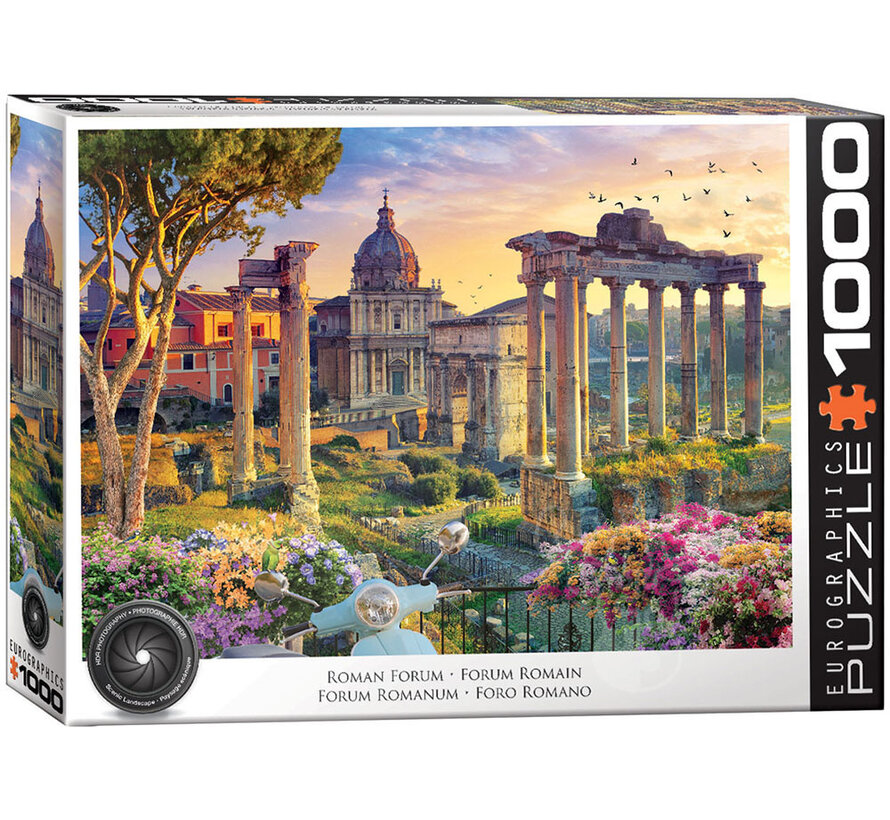Eurographics Photography HDR: Roman Forum Puzzle 1000pcs