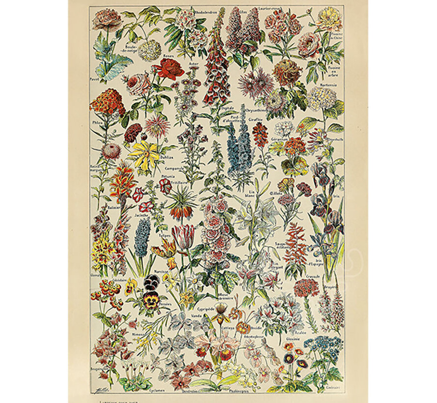 Piatnik Millot - Fleurs Puzzle 1000pcs
