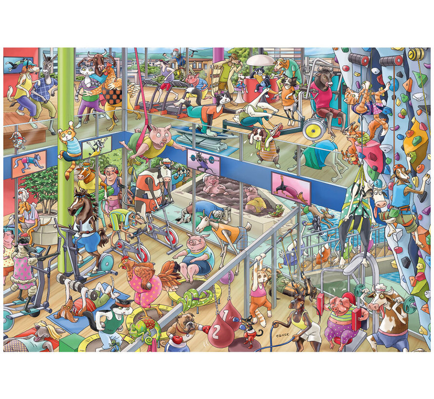 Heye Pet Gym Puzzle 1000pcs Triangle Box
