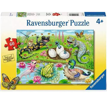 Ravensburger Ravensburger Hello Hatchlings Puzzle 60pcs