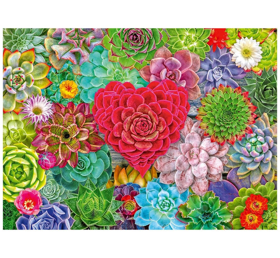 Ravensburger Succulent Love Puzzle 500pcs