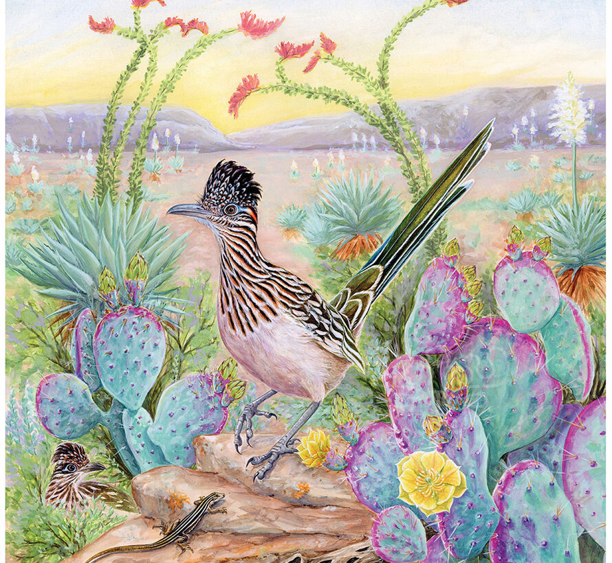New York Puzzle Co. Cornell Lab: Greater Roadrunner Puzzle 500pcs