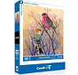 New York Puzzle Co. Cornell Lab: Pine Grosbeaks Puzzle 500pcs