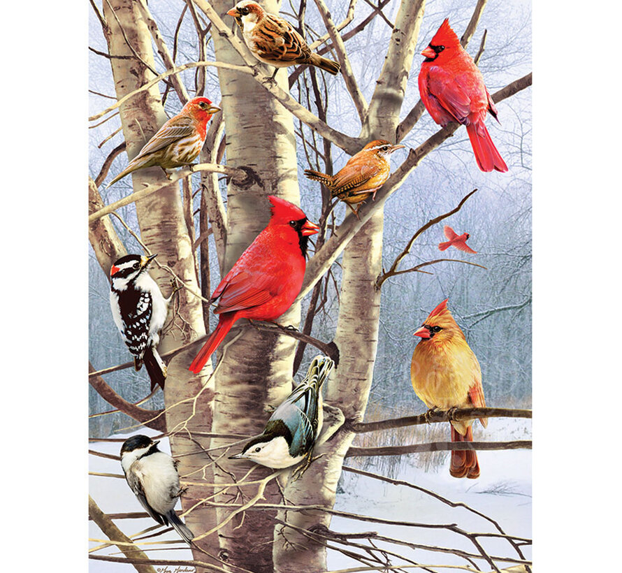 Cobble Hill Winter Birds Puzzle 1000pcs