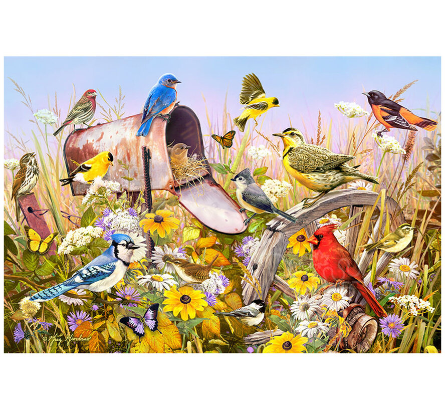Cobble Hill Field Song Puzzle 2000pcs