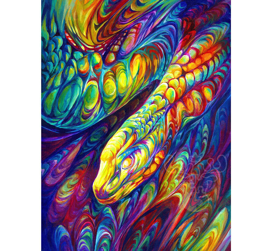 Enjoy Rainbow Snake Puzzle 1000pcs