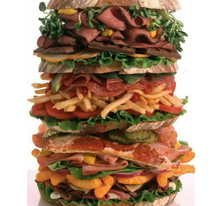 Springbok Snack Stack Puzzle 500pcs
