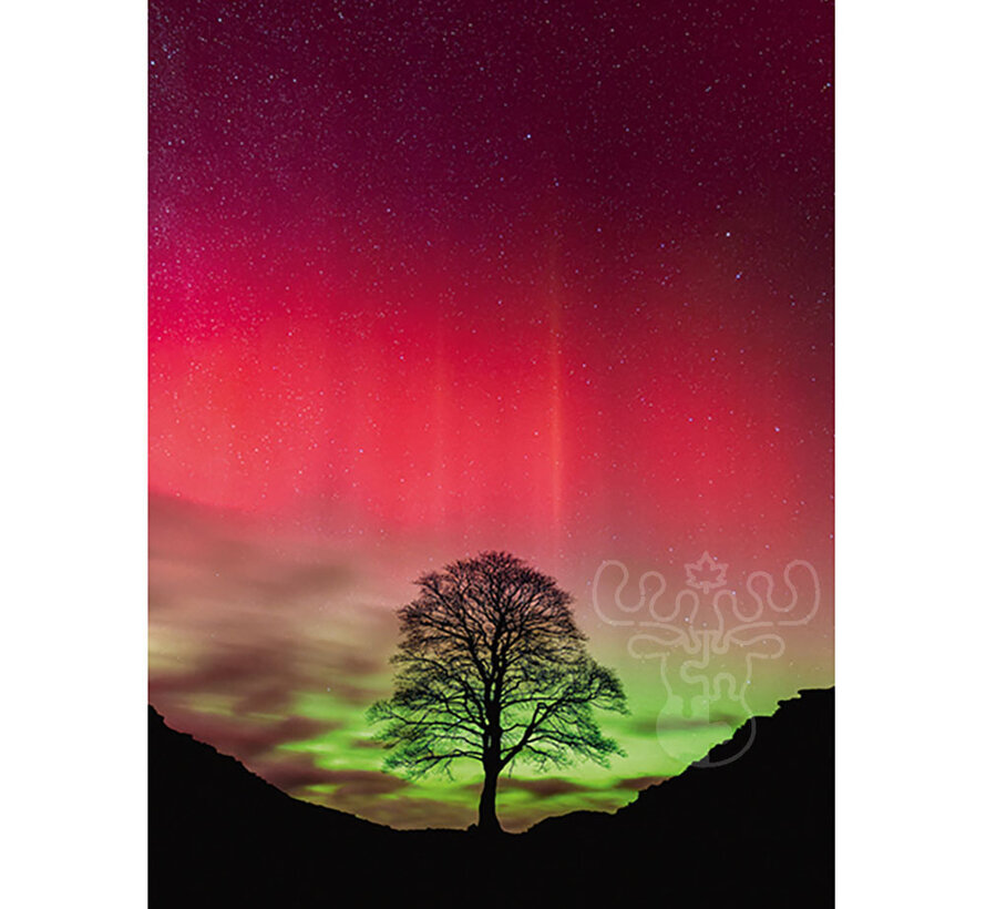 Heye Power of Nature: Sycamore Gap Puzzle 1000pcs