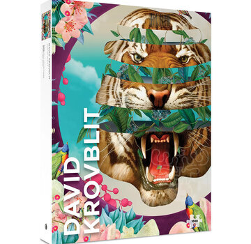 Pomegranate Pomegranate Krovblit, David: Vision Quest Puzzle 1000pcs