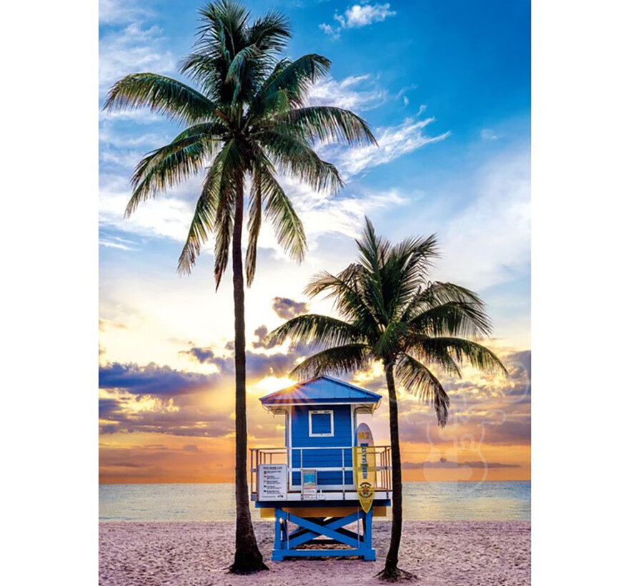 Clementoni Miami Beach, Florida Puzzle 500pcs