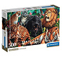 FINAL SALE Clementoni Wild Cats Puzzle 500pcs