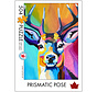 The Occurrence Prismatic Pose Puzzle 504pcs