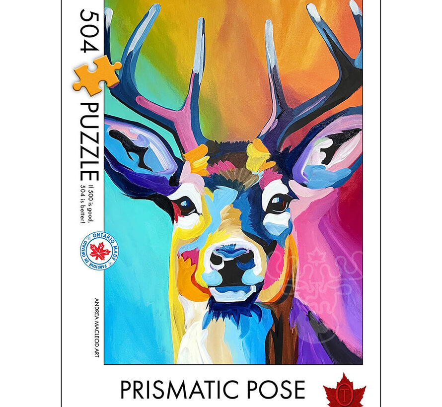 The Occurrence Prismatic Pose Puzzle 504pcs