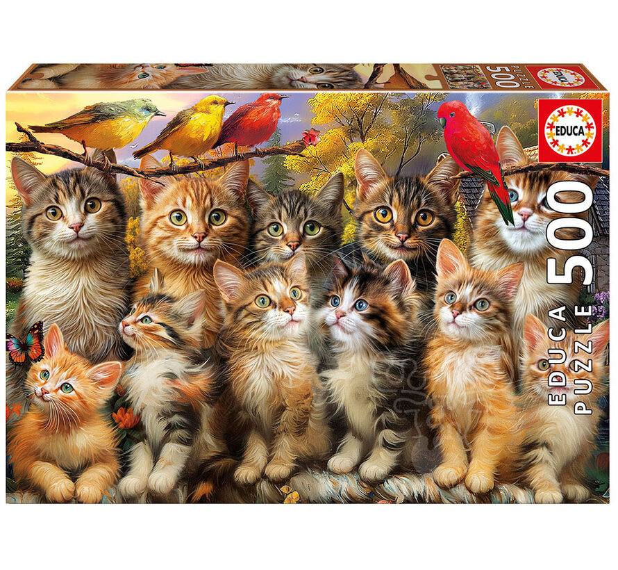 Educa Kittens and Birds Puzzle 500pcs