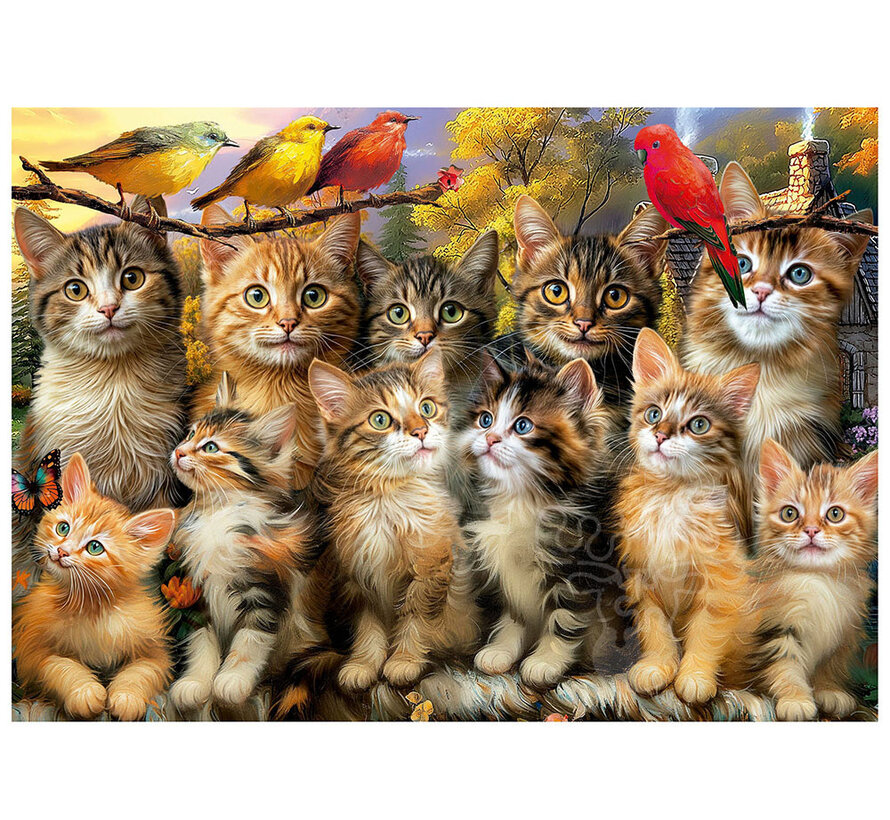 Educa Kittens and Birds Puzzle 500pcs
